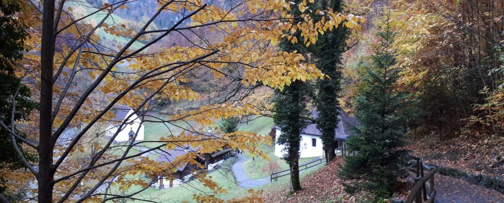 herbst-im-ranft_20201029_164802-58 herbst-im-ranft_20201029_164802-58